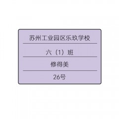 6X4cm彩色底姓名贴30张