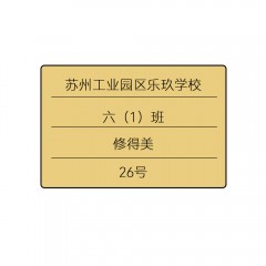 6X4cm彩色底姓名贴30张